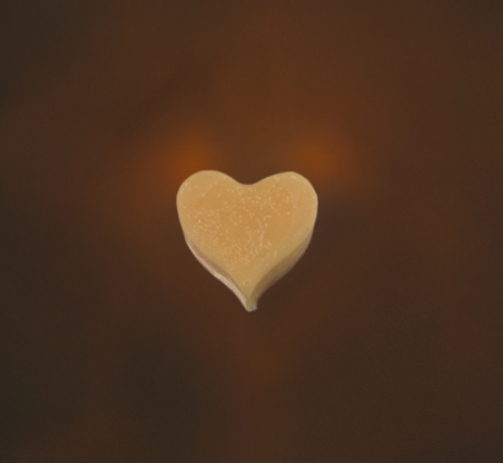 Decorative Wax Tarts