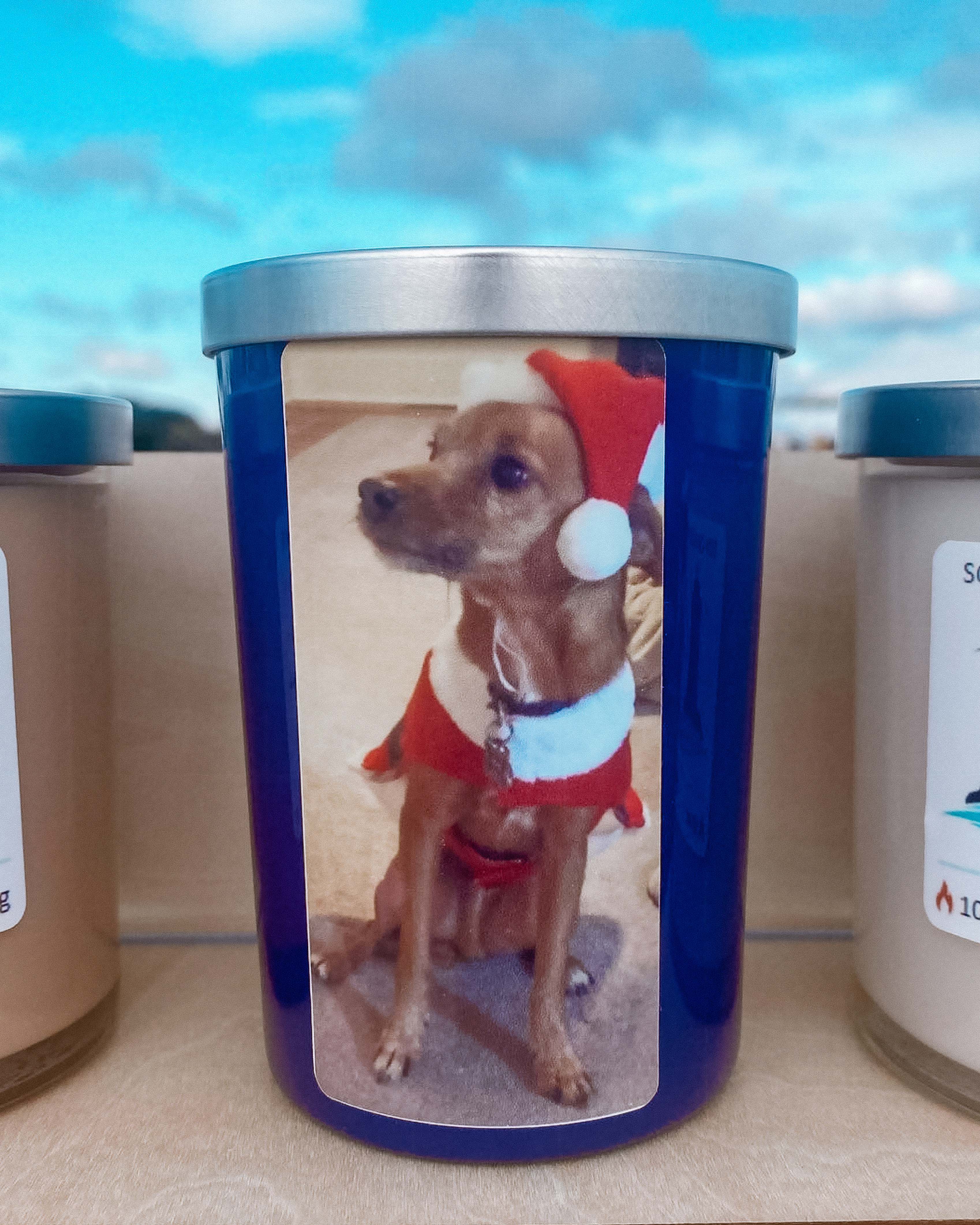 Jar with a dog in a Santa outfit on a label against a blue sky background